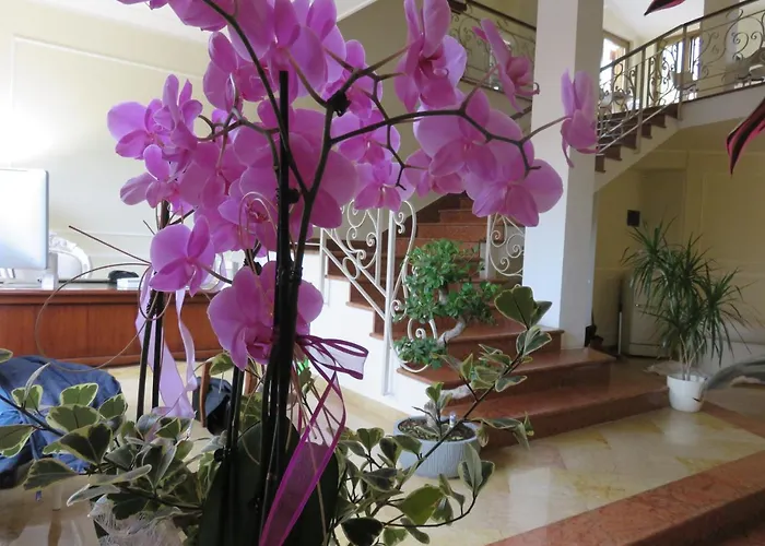 Scaligero Rooms